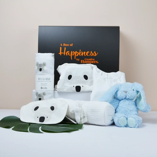 creative_hampers_New Baby Boy Koala Hamper13030